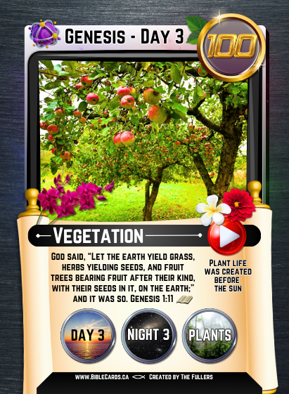 Genesis Edition Bible Cards - Pack of 26 Trading Cards