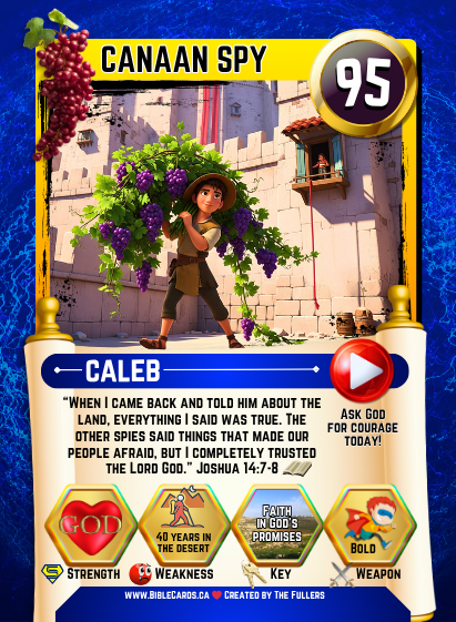 Generations Edition Bible Cards - Pack of 29 Trading Cards